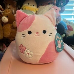 Roseanne Sakura spring cat squishmallows